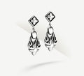 Fire & Ice Earrings<br>in Sterling Silver